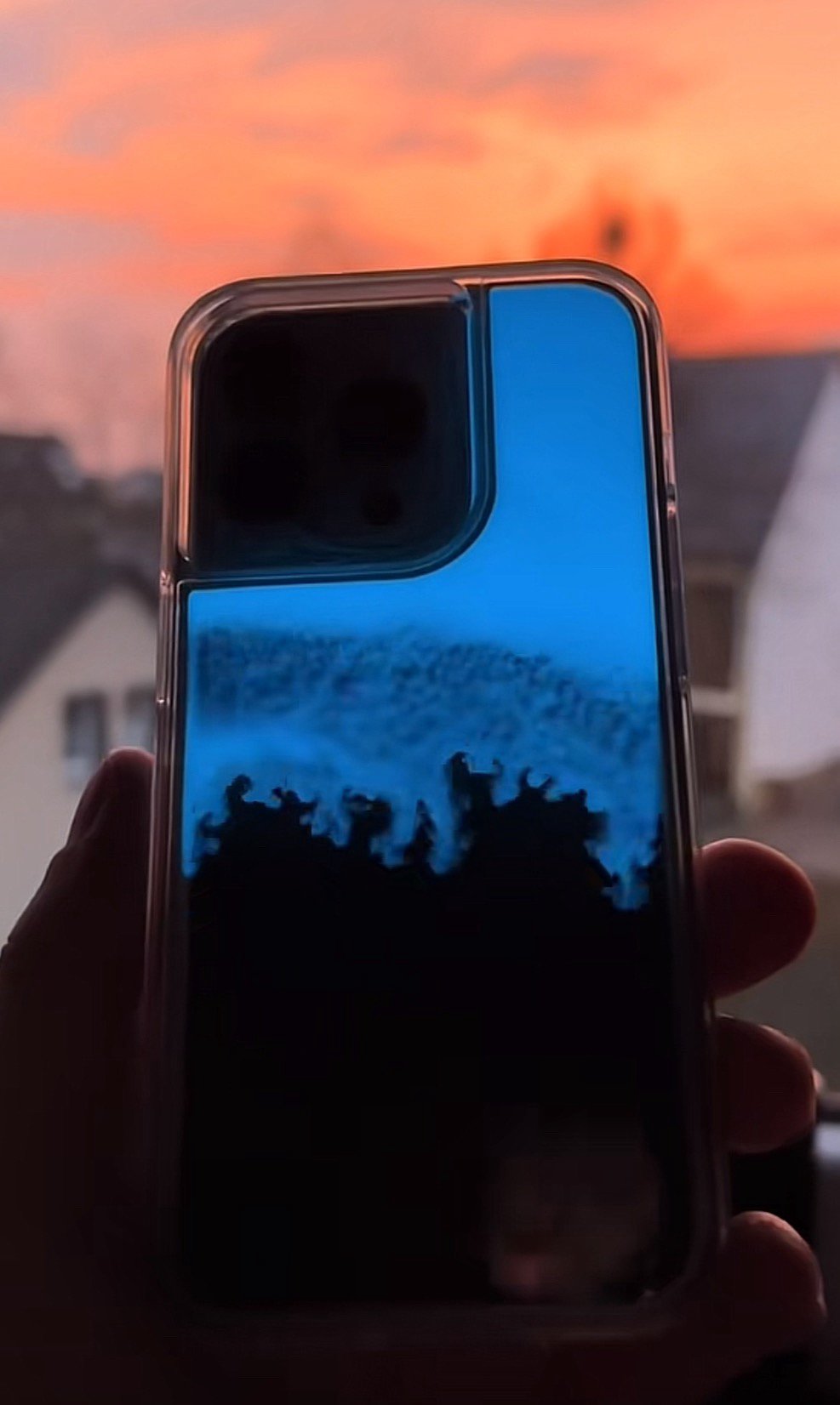 Funda Brillante con Quicksand